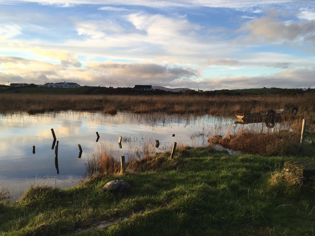 Lough Currane Holiday Homes Waterville Eksteriør bilde